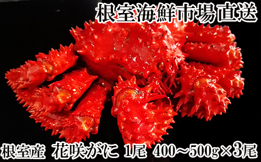 B-11119【12/10まで年内配送】 【北海道根室産】花咲ガニ400～500g×3尾