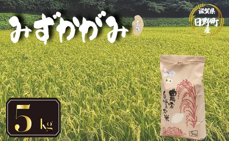 【先行予約】令和8年産 新米 みずかがみ 5kg 玄米  米 【KW022】 近江米