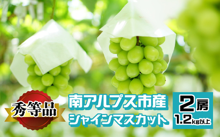 ＜2026年発送先行予約＞南アルプス市産 シャインマスカット 秀等品 1.2kg以上　（2房） ALPEV002　山梨県 ぶどう 葡萄 ブドウ マスカット 種なし フルーツ くだもの 果物 高級 新鮮 産地直送 贈答 ギフト 家庭用 2026年 秀等品 南アルプス市