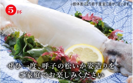 【６月】松いか姿造り（250g×5杯）