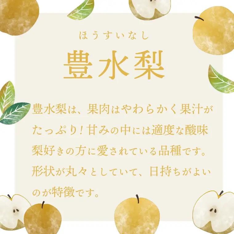 豊水梨 約5kg 09月下旬発送  梨 先行受付