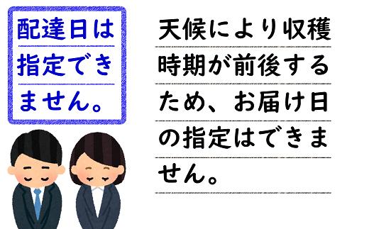 さくらんぼの収穫期間は極めて短いので、発送作業も時間との勝負！