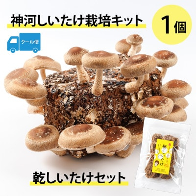 
            神河しいたけ栽培キット(しいたけ菌床)1個と乾しいたけセット　※5月～10月順次発送【1411537】
          