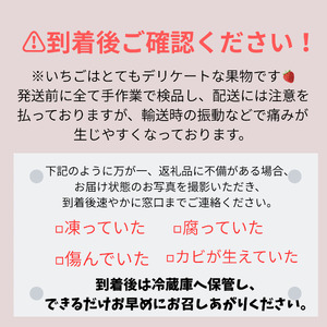【ふるなび限定】いちご 紅ほっぺ ホールパック 約920g 7219 FN-Limited-SP