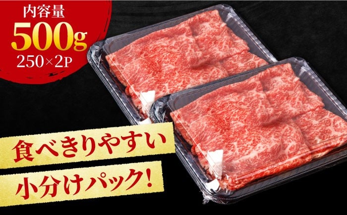 すき焼き しゃぶしゃぶに！佐賀牛 赤身とバラ肉の切り落とし 500g（250g×2P）　