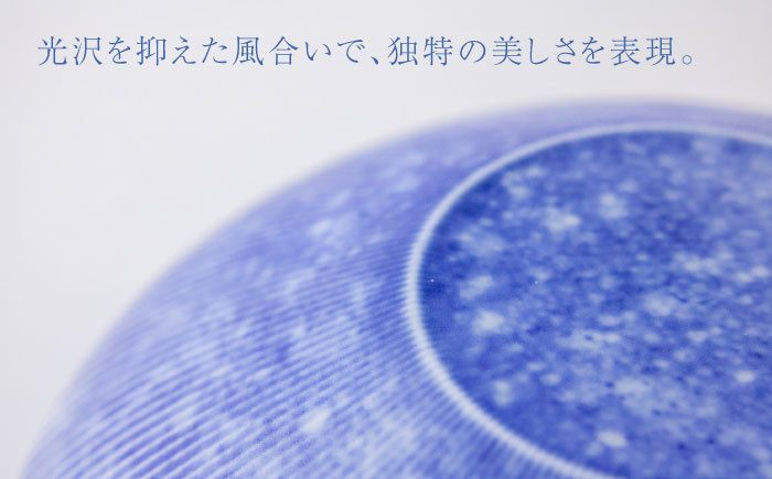 鍋島焼 和食器 職人技 ボウル おもてなし 贈答品 プレゼント ギフト 手作業 セット