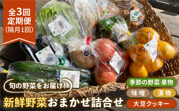 【全3回定期便】【隔月発送】新鮮野菜・加工品 おまかせ詰め合わせ【だいちの家】 [HAG016]