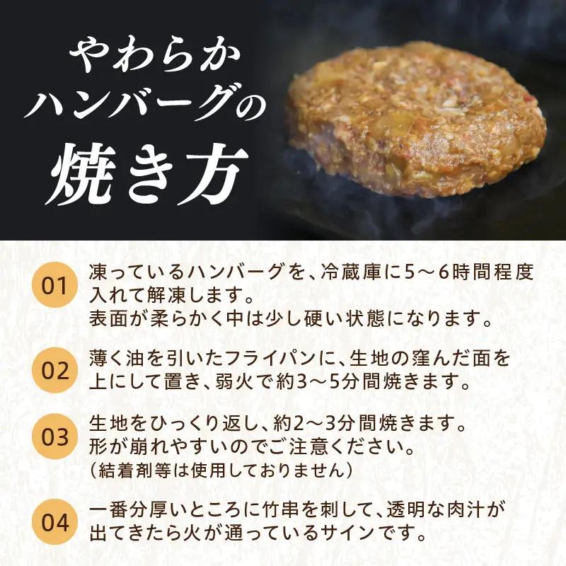 ハンバーグ定期便隔月3回 塩で食べるやわらかハンバーグ ソース付