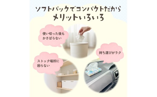 【指定日配送】エルモア ピコソフトパックティシュー 20箱 150組（300枚）×5箱×4パック