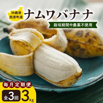 ふるさと納税 西原町 【毎月定期便】西原町の栽培期間中農薬不使用のナムワバナナ3kg全3回