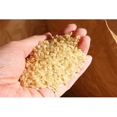 ふるさと納税 青森市 【五つ星お米マイスター厳選】青森県産　天匠米あさゆき　白米10kg |  | 02