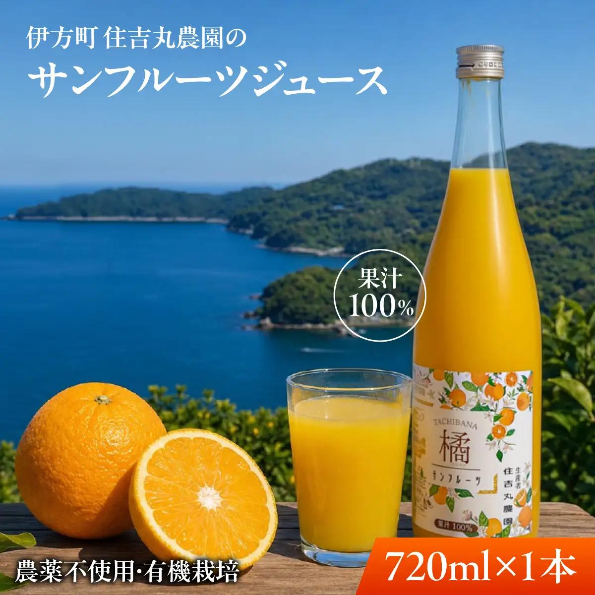 サンフルーツジュース 720ml×1本  IKTBN013 