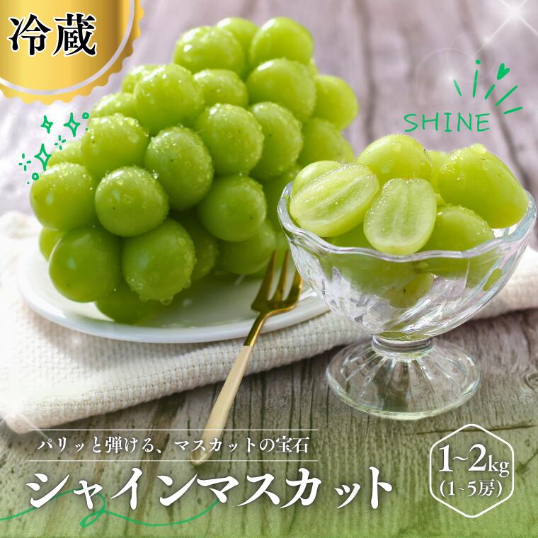 【ふるさと納税】＊楽天限定＊ 『選べる規格！ シャインマスカット 』約1kg〜約2kg・ 訳あり約1kg〜訳あり約2kg ／ 9月下旬～11月頃 配送予定 // ふるさと納税 訳あり シャイン マスカット ぶどう ブドウ 葡萄 フルーツ 果物 くだもの 人気 プレゼント 長野 ふるさと納税