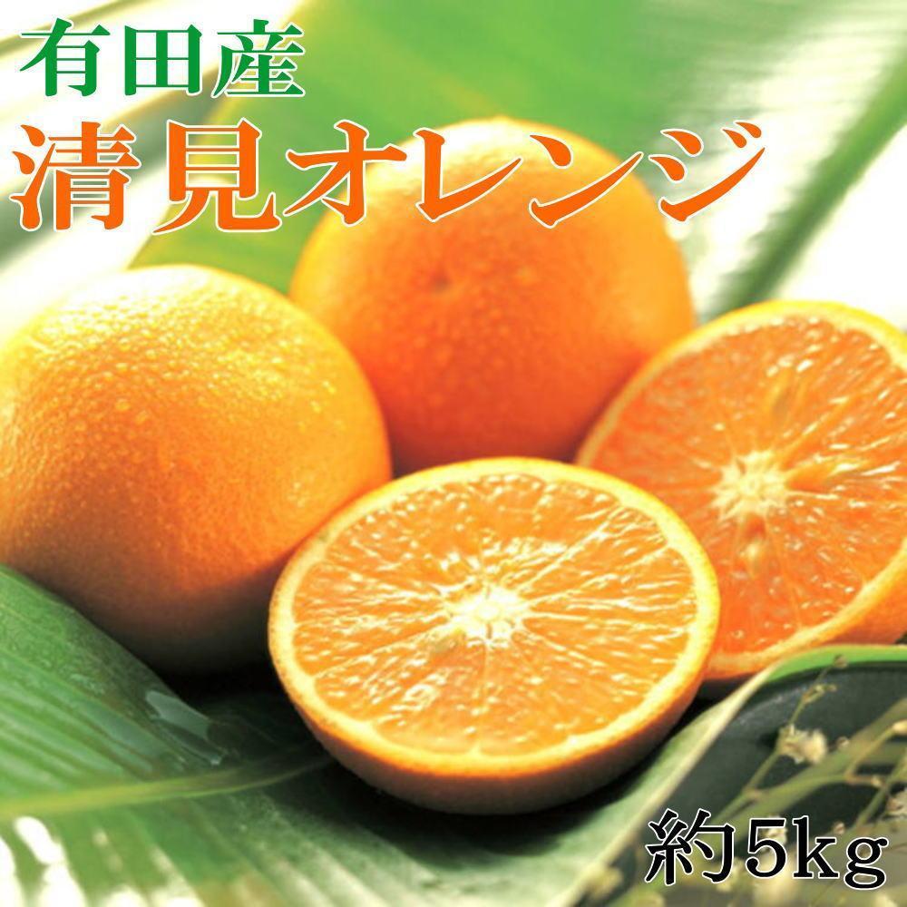 【ふるさと納税】［濃厚］農家さん直送の清見オレンジ 約5kg（サイズおまかせ・秀品）★2026年2月中旬頃より順次発送［TM152］ | フルーツ 果物 くだもの 食品 人気 おすすめ 送料無料