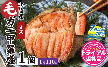 【トライアル返礼品】蟹好き集まれ！北陸産メス毛ガニ 甲羅盛【メス甲羅盛110ｇ前後】【訳あり】 [A-096004] / かに ケガニ 甲羅盛 甲羅盛り かに酢 手軽 国産 冷凍 甲羅蟹 甲羅がに