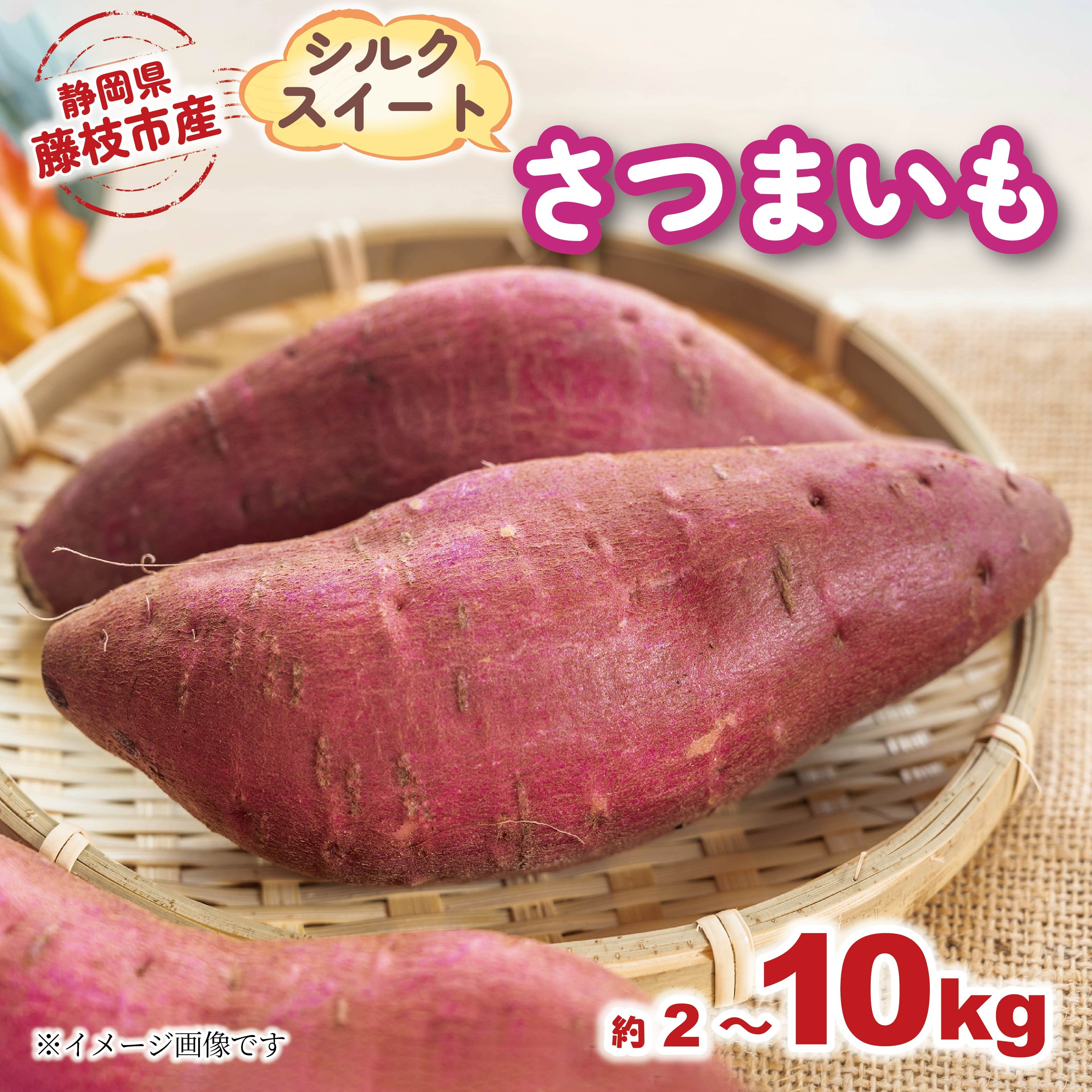 
            【2025年11月～順次発送予定】 さつまいも シルクスイート 約2kg～約10kg 期間限定 サツマイモ 焼き芋 イモ 芋 いも 野菜 健康 やさい 人気 おすすめ 静岡県 藤枝市
          