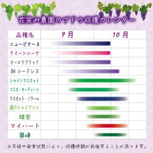 岡山　花笑み農園の『ニューピオーネ＆シャインマスカット』2kg優品　PS-2優【9月中旬～順次発送】【配送不可地域：離島】【1593506】