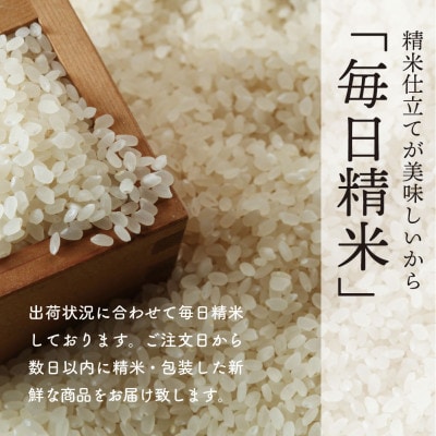【毎月定期便】秋田県産あきたこまち白米30kg(5kg×6)全6回【配送不可地域：離島・沖縄県】