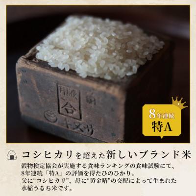 ふるさと納税 多良木町 【令和7年産】人吉球磨のお米 ヒノヒカリ　無洗米　10kg(多良木町) |  | 01