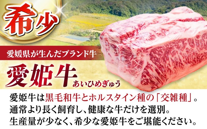 牛丼 牛肉 和牛 牛 国産 人気 おすすめ 簡単 おいしい お肉 肉 国産肉 焼肉 お取り寄せ  冷凍 簡単調理 牛皿 牛めし