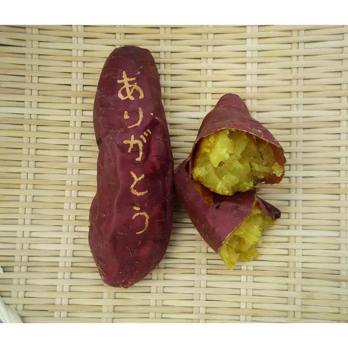うやま農園のやきいも 2kg【焼き芋 個包装 やきいも サツマイモ スイーツ さつまいも 紅はるか 農薬不使用 農家直送】