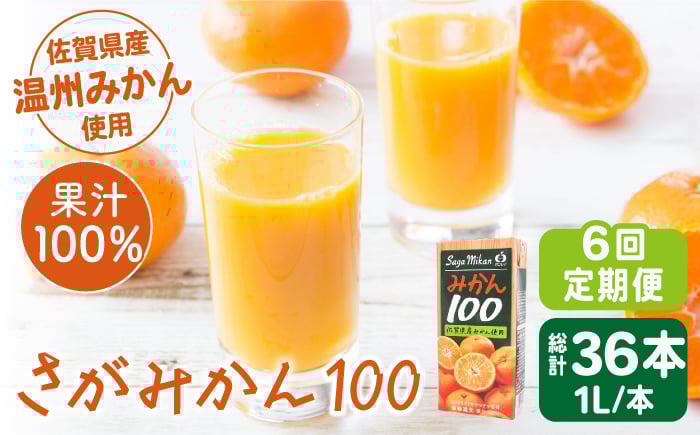 
            ＜全6回定期便＞ 【佐賀県産温州みかん使用】さがみかん100　総計36本（1L×6本）【JAさが 杵島支所】果汁100% 濃縮還元 [HAM041]
          