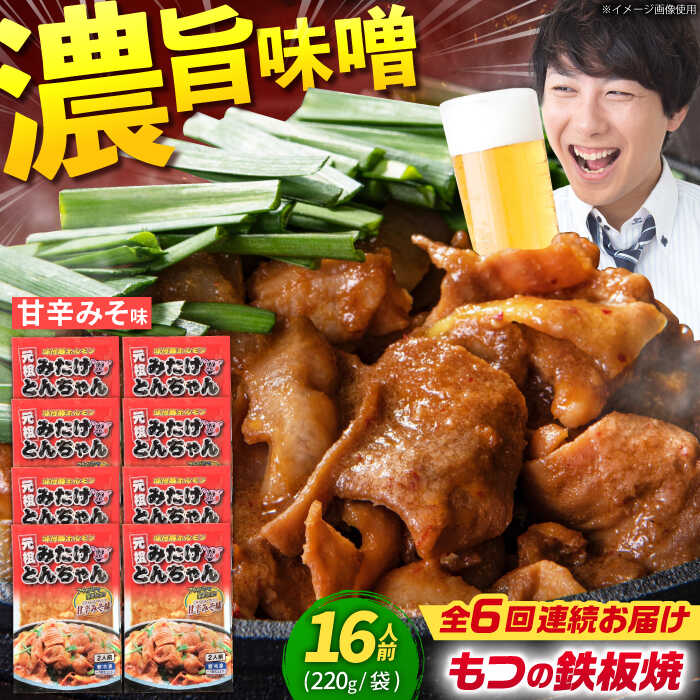 【ふるさと納税】【6回定期便】 岐阜県産豚もつの鉄板焼き「元祖みたけとんちゃん」甘辛みそ味（16人前） / モツ もつ 白もつ ホルモン / 御嵩町 / 藤よし[AVAA074]