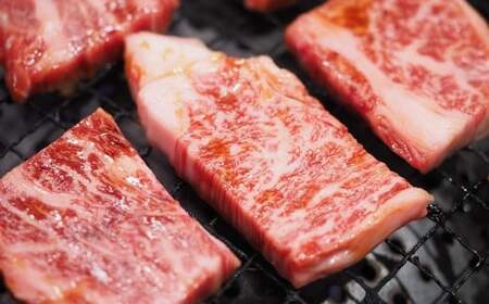 【訳あり】【A4～A5】 長崎和牛 焼肉用 約1kg （約500g×2パック） ／ 和牛 牛肉 ぎゅうにく お肉 おにく 肉 にく バラ 肩ロース モモ 焼肉 やきにく バーベキュー BBQ 長崎県 