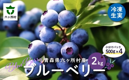 《先行予約 2026年8月中旬～順次出荷》 青森県 六ヶ所村産 ブルーベリー 冷凍生実 2kg