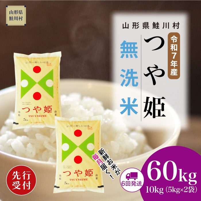 ＜令和7年産米先行受付＞ 鮭川村産 特別栽培米 つや姫 【無洗米】60kg定期便(10kg×6回)　配送時期指定できます！