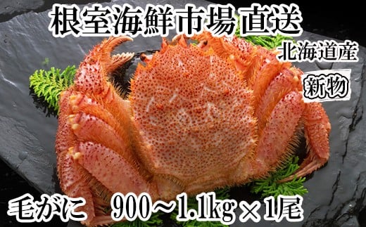 F-14029 ボイル毛がに900g～1.1kg×1尾
