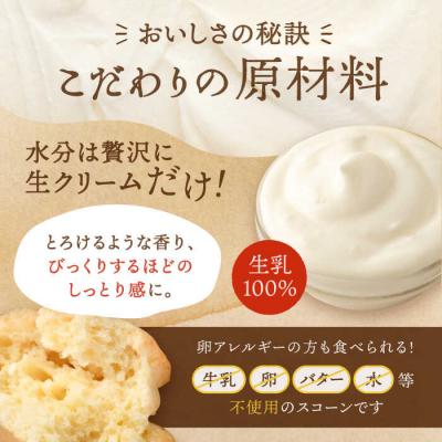 ふるさと納税 糸島市 スコーンのイメージ が変わる! 定番 スコーン 12個セット  糸島市 [AFA001] |  | 02