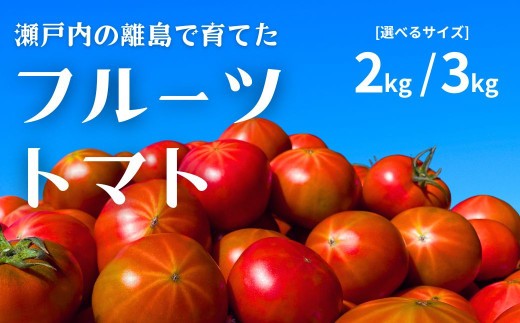 
                  【甘みがジュワ〜っ！】瀬戸内のフルーツトマト 選べる 2kg / 3kg 糖度8度以上 【 2027年4月中旬発送開始 】 先行予約 大崎上島 越田農園 とまと 高糖度 完熟 新鮮 濃厚 国産 野菜 フルーツ 送料無料
                