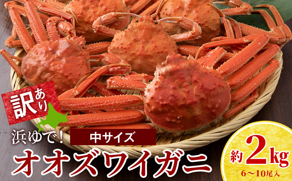 
            訳あり オオズワイガニオス 中サイズ (約200-350g) 浜ゆで 2kg (6～10尾入) ボイル 北海道
          