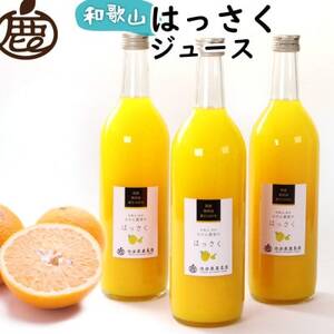 無添加はっさくジュース720ml×3本【100%ストレートジュース】【柑橘・果汁】【配送不可地域：離島・北海道・沖縄県】【1641242】