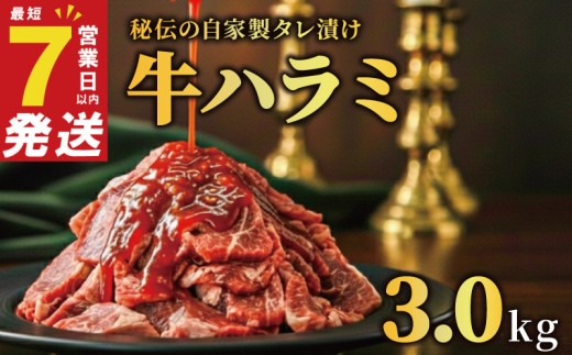 牛ハラミ タレ漬け 3kg 特選 タレ漬け牛ハラミ 秘伝タレ 味付き牛 小分け 厚切り 牛肉 お肉 肉 にく 牛ハラミ 味付き 焼くだけ 焼き肉 やきにく 焼肉 たれ 冷凍 個包装 人気 うし ぎゅうにく おにく はらみ 腹身 バーベキュー BBQ 奈良県 奈良市 焼肉工房もく