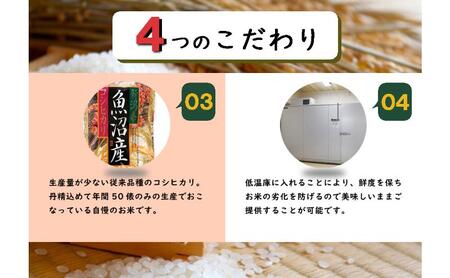 令和8年産　先行予約　【数量限定】 従来品種 魚沼産コシヒカリ 5kg 〈令和8年10月下旬～発送予定〉