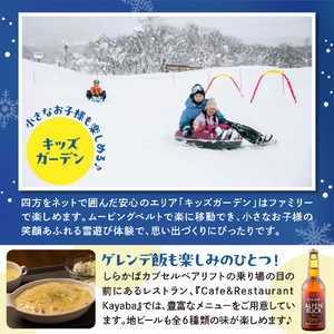 池の平温泉アルペンブリックスキー場　リフト1日券（ICカード引換券）3枚 2025 - 2026 シーズン スキー スノーボード リフト券 妙高山 野尻湖 ゲレンデ アウトドア スポーツ 冬 チケット