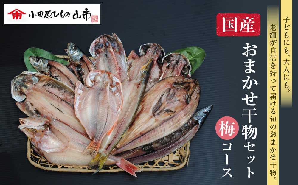 
                  【国産】おまかせ干物セット 梅コース【お取り寄せ 海鮮 グルメ ギフト プレゼント 産地直送 産直 魚 手作り ひもの 詰め合わせ お中元 お歳暮 父の日 母の日 誕生日 自宅用 贈答品 贈答用 朝食 バーベキュー 神奈川県 小田原市 】
                