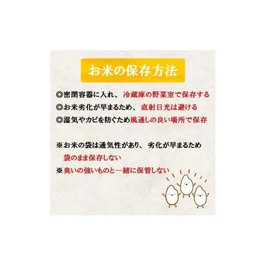 数量限定 新米 コシヒカリ 3kg 令和6年 白米 精米 米 こしひかり ブランド米 国産 高知県 須崎 しんじょう君 産地直送 国産新米