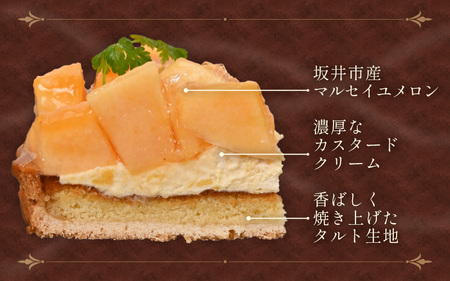 マルセイユメロンのフレッシュタルトケーキ 5号：直径15cm 850g 2026年6月中発送 スイーツ ケーキ お菓子 [A-5212]