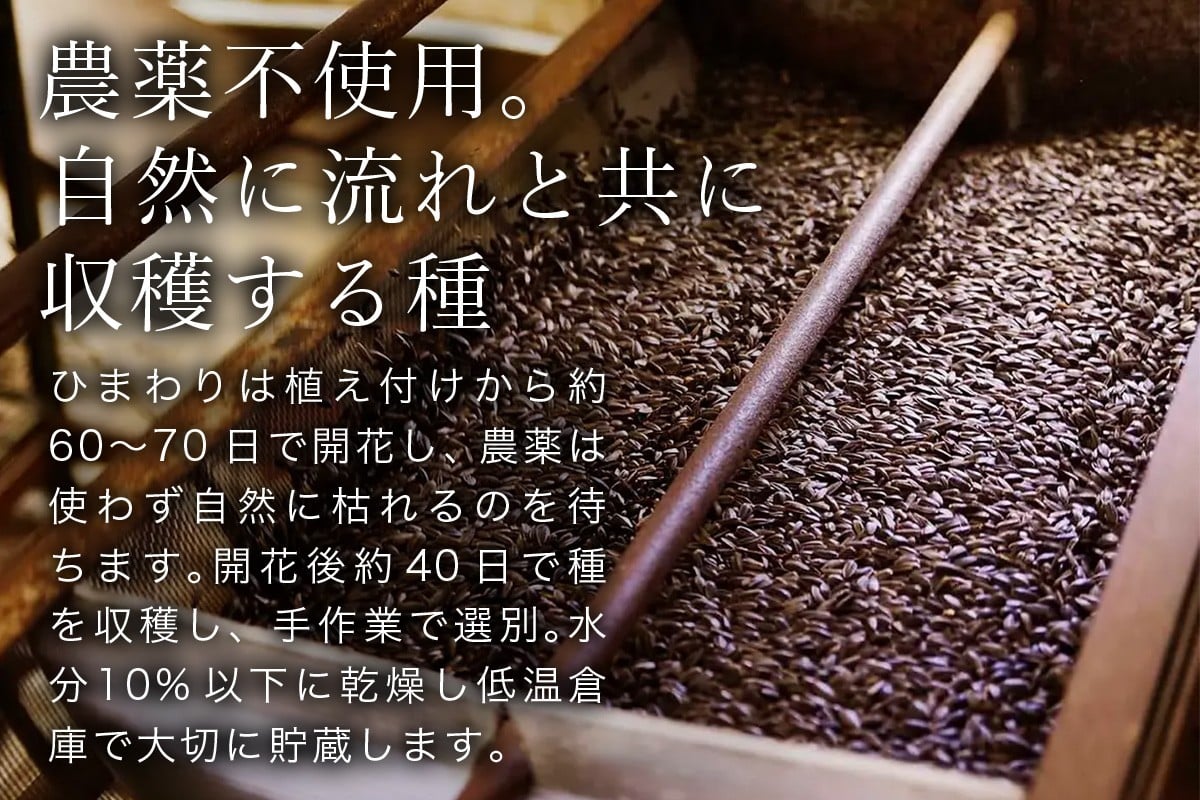 西日本最大級となる57万本のひまわり畑。栽培期間中、農薬不使用です。