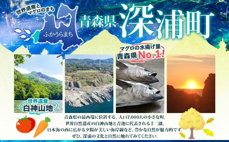青森鮭とば 青森県産 鮭くんせい100g×3袋 計300g 青森県産 鮭 燻製 日本海 おつまみ ギフト お取り寄せ 大船海産株式会社 青森県 深浦町