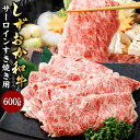 【ふるさと納税】しずおか和牛 サーロイン すき焼き用 約600g 和牛 牛肉 肉 お肉 すき焼き すき焼 すきやき スキヤキ 冷凍 お取り寄せ グルメ 国産 静岡県産 静岡県 菊川市 送料無料