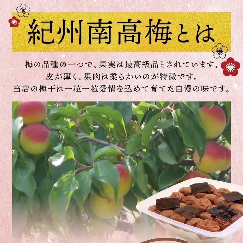 梅干し こんぶ風味梅干し 1kg【ご家庭用】【inm410C】