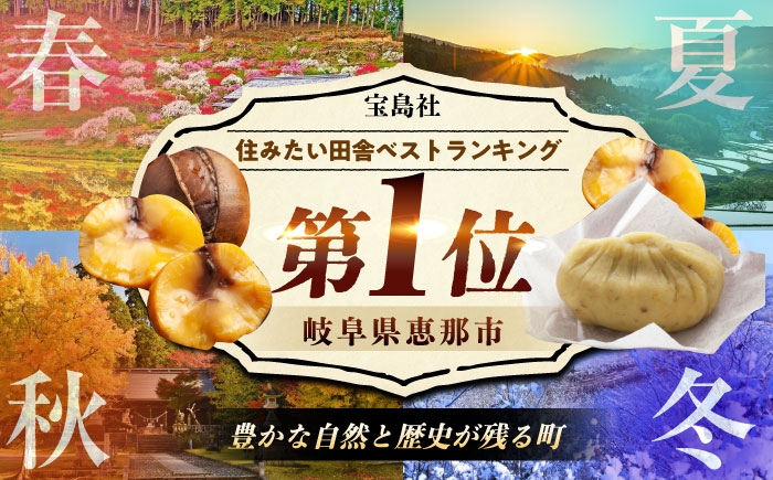 栗菓子 栗 くり 栗きんとん 焼菓子 和菓子 詰め合わせ どらやき どら焼 贈答 ギフト おすすめ 人気 岐阜県 恵那市