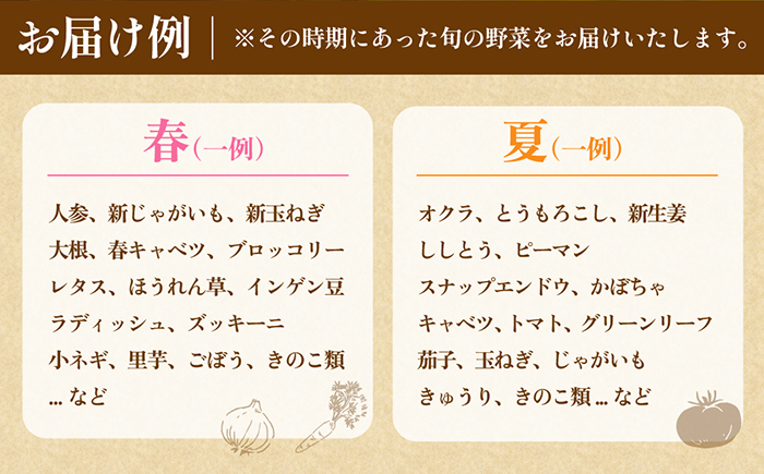 【12回定期便】毎月連続お届け 新鮮 「旬の野菜・フルーツ」 詰め合わせ セット（10品〜12品）/ 野菜 定期便 やさい 定期便 野菜セット やさいセット 春野菜 夏野菜 秋野菜 冬野菜 旬新鮮 /