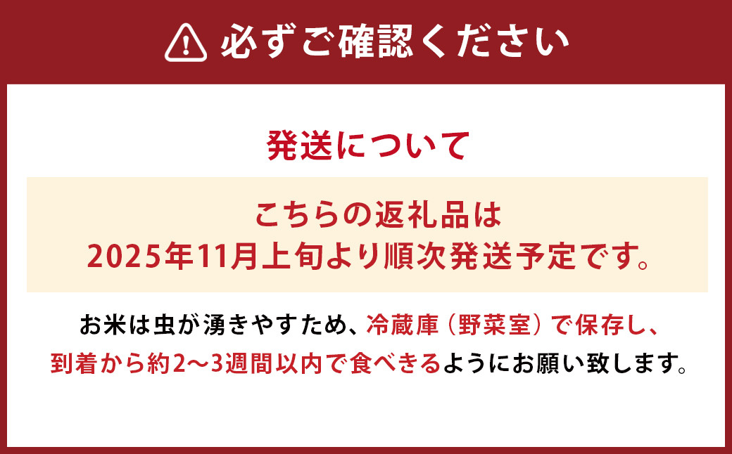 令和7年産 益城町 無洗米 森のくまさん 10kg