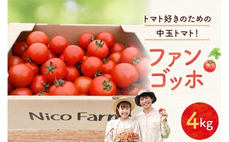 【先行予約】トマト好き必見！ファンゴッホ 4kg 肉厚中玉トマト_Y124-0027
