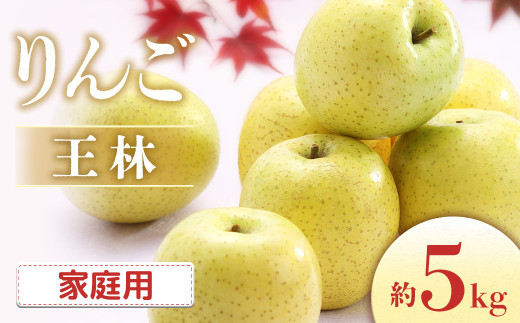 I-6 りんご　王林 約5kg（10～18玉入り）※ご家庭用※＜2025年発送　先行予約＞
